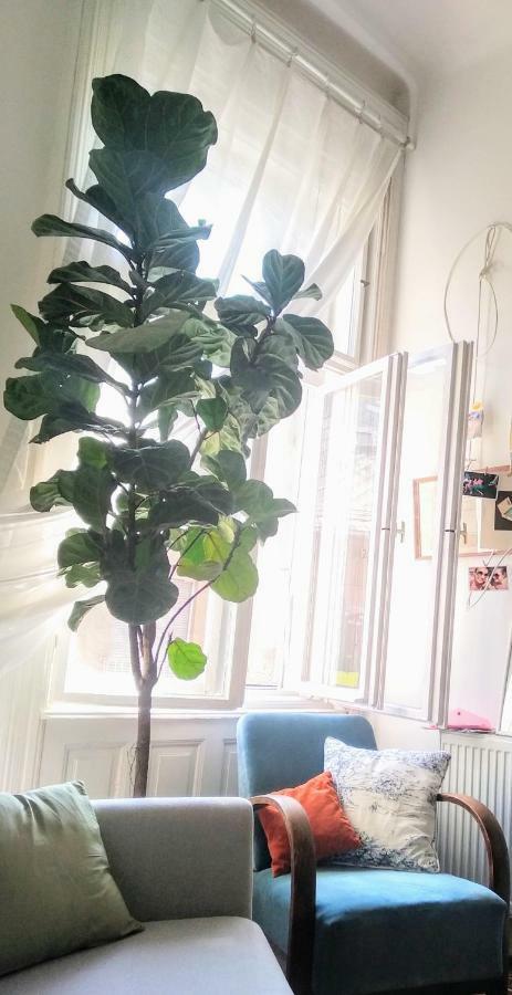 Jolie Apartment In Historical Center Βουδαπέστη Εξωτερικό φωτογραφία